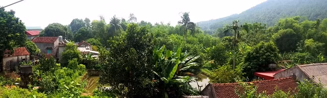 Năm 1995, UBND tỉnh Thanh Hóa có quyết định giãn 50 hộ dân thuộc lâm trường Cẩm Thủy đến xây dựng vùng kinh tế mới tại lâm trường Hà Trung (thôn Tam Quy 2, xã Hà Tân, huyện Hà Trung) trực thuộc đất rừng phòng hộ của Khu bảo tồn thiên nhiên rừng sến Tam Quy. (Sau này Lâm trường Hà Trung đổi tên thành Trung tâm nghiên cứu ứng dụng khoa học công nghệ Lâm nghiệp Thanh Hóa - gọi tắt là Trung tâm). Khi về lâm trường mới lập nghiệp, các hộ dân được Trung tâm giao khoán cho 163 ha đất lâm nghiệp vào mục đích phát triển kinh tế trang trại rừng.