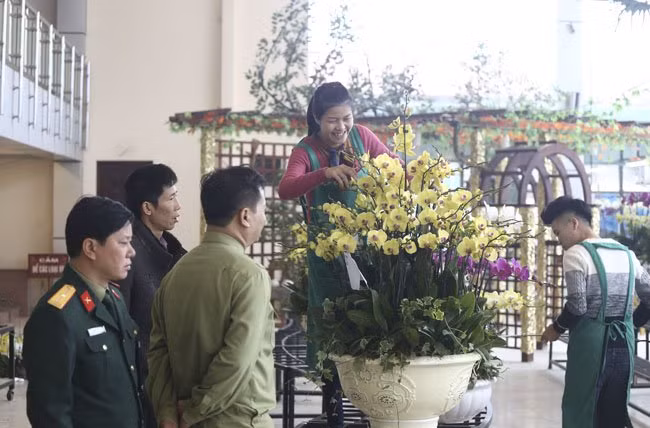 Nhiều khách đã đến đặt lan để chơi Tết và làm quà biếu.