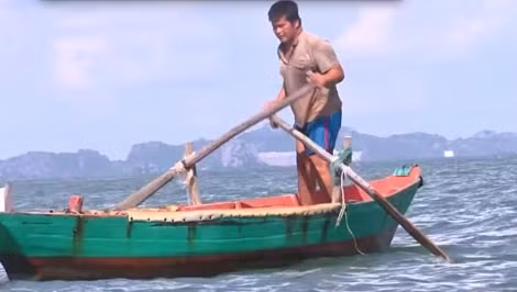 Bi an chua dao Viet mu loa co kha nang doan thoi tiet bang tai-Hinh-3