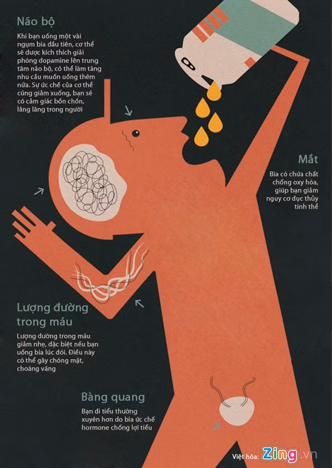 Dieu gi xay ra voi co the khi ban uong bia?