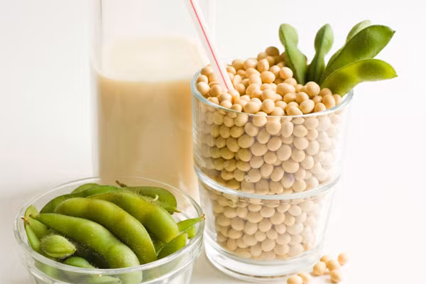 Nếu bạn uống sữa đậu hàng ngày, không những tăng kích thước vòng 1 đáng kể mà bạn còn phòng tránh được các bệnh liên quan đến tim mạch, cải thiện làn da và cho bạn rất nhiều năng lượng nữa đấy.