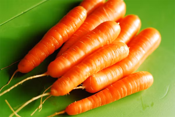 Không chỉ vậy, cà rốt còn có một vai trò hết sức đặc biệt đó là làm giảm sự tăng trưởng tế bào thụ thể nội tiết tố nữ estrogen ở khối u vú, gồm cả u lành và u ác tính. Do vậy, sử dụng cà rốt làm món nấu hoặc nước ép có tác dụng hiệu quả làm tăng vòng 1, đồng thời cải thiện sức khỏe của bạn đáng kể. Tuy nhiên cần có chế độ ăn cà rốt hợp lí bởi chúng có thể làm cho bạn mắc bệnh vàng da và một số bệnh khác nữa.