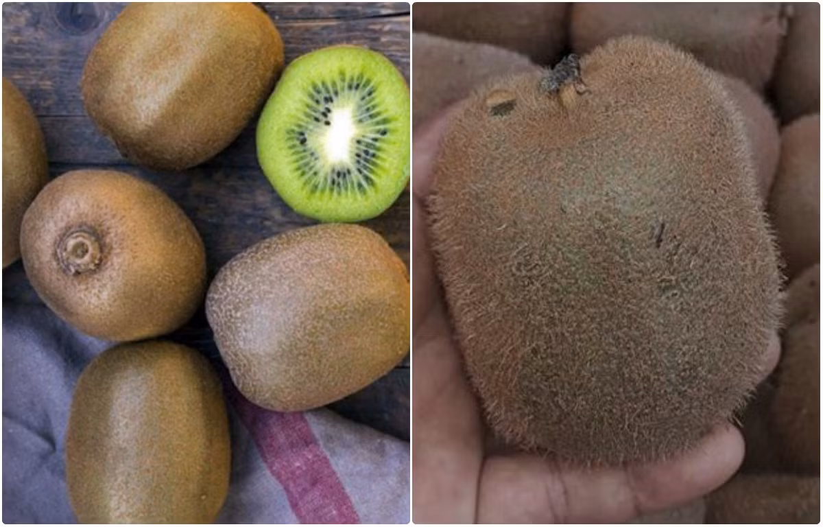 Meo chon kiwi cuc chuan tranh mua nham hang Trung Quoc-Hinh-2