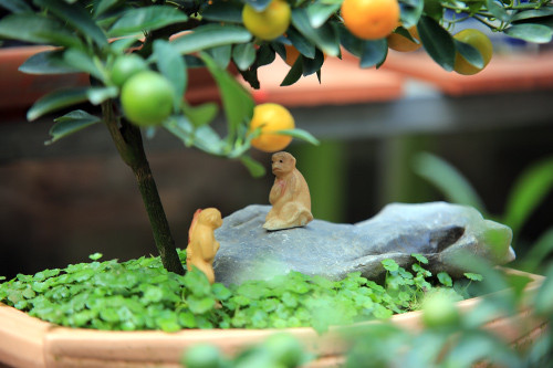 Hai chú khỉ ngồi trên "hoa quả sơn" dựa theo hình tượng Tôn Ngộ Không trong bộ phim Tây Du Ký.