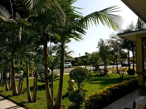 Những khi không đi diễn và có thời gian rảnh, Quang Lê đặc biệt thích thú với việc ngồi ngắm khu vườn nhỏ của gia đình.