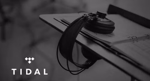 Jay Z có tài sản trị giá 810 triệu đô trong khi Beyonce có 350 triệu đô, tổng giá trị tài sản của gia đình này là 1,6 tỉ đô. Cả 2 vợ chồng đều nắm rất nhiều cổ phần của công ty TIDAL chuyên về dịch vụ streaming chất lượng cao và nhạc ở đó có giá khá đắt. Hiện tại số cổ phần đó có giá 600 triệu đô, gấp 10 lần vốn ban đầu vợ chồng nhà Beyonce đầu tư.