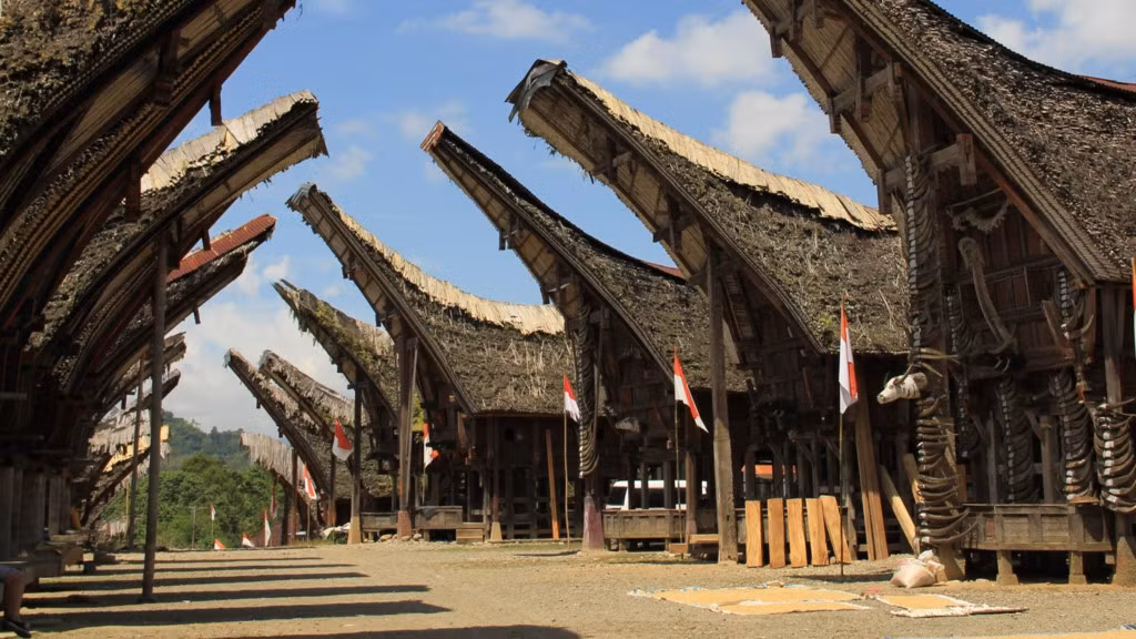Vào tháng 8 hàng năm, người dân Toraja ở Indonesia đào thi hài người quá cố lên, thay quần áo mới, tắm rửa và sửa lại quan tài cho họ. Sau đó, họ giữ xác chết đứng thẳng và cho đi bộ về nhà. Tiếp đến họ đặt xác vào quan tài rồi mang đến nơi chôn cất như cũ. Nghi lễ này có tên là Manene. Trong ảnh là nhà ở của người Toraja. Ảnh: Wp.