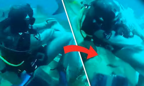 Kinh hai canh ca map tan cong cho hiem cua tho lan