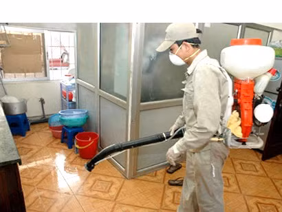 Giữ nhà cửa sạch sẽ: Lau nhà thường xuyên bằng nước lau sàn. Địa điểm đầu tiên bạn cần chú ý chính là nhà bếp. Sau bữa ăn, rửa sạch bát đĩa và cất giấu thức ăn thừa cẩn thận. Đặc biệt chú ý lau dầu mỡ vương vãi trên bếp vì gián rất thích món này.
