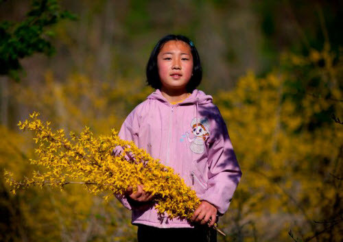 Nhiếp ảnh gia Lafforgue chụp được một bé gái hái hoa và cỏ bên đường.