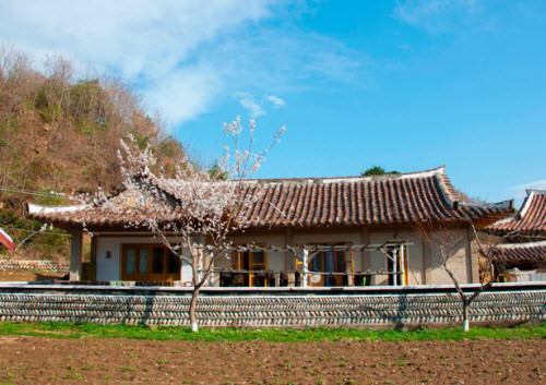 Sau một hành trình kéo dài nhiều giờ, Lafforgue cuối cùng cũng tới ngôi làng Jung Pyong Ri nằm giữa vịnh nhỏ và núi. “Đúng như mong đợi, những ngôi nhà mà tôi ở rất sạch sẽ và ngăn nắp. Làng Jung Pyong Ri dường như là một cộng đồng được chính phủ đầu tư nhiều”, Lafforgue nói. “Chỉ có 23 gia đình sống tại đây. Lúc đó, tôi nghĩ rằng mình bị lừa vào một bẫy du lịch với toàn diễn viên đóng cảnh thực tế”. Một trong những ngôi nhà được cho là sang trọng nhất tại ngôi làng Jung Pyong Ri.