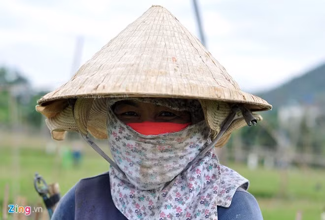 Mùa hoa Tết khởi động cũng là lúc Đồng Nai bước vào mùa khô, trời nắng, oi bức nên người làm việc ở cánh đồng hoa phải dùng khăn bịt kín mặt để chống chọi khí hậu khắc nghiệt.