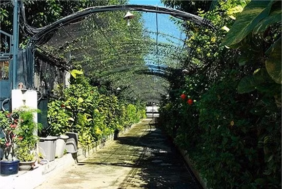 Còn đây là lối đi vào căn biệt thự của Diễm My, thường khiến khách đến nhà tưởng như đi lạc vào công viên hay vườn tược nào ở phương Tây.