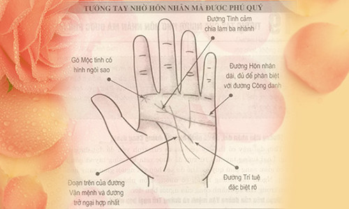 Nguoi co chi tay nay, at muon gi duoc nay!