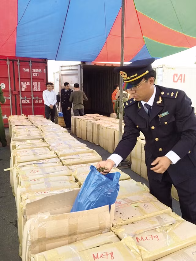 Bi an loai “che xanh” doc hai gap 500 lan ma tuy-Hinh-2