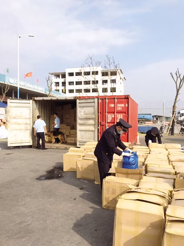 Bi an loai “che xanh” doc hai gap 500 lan ma tuy