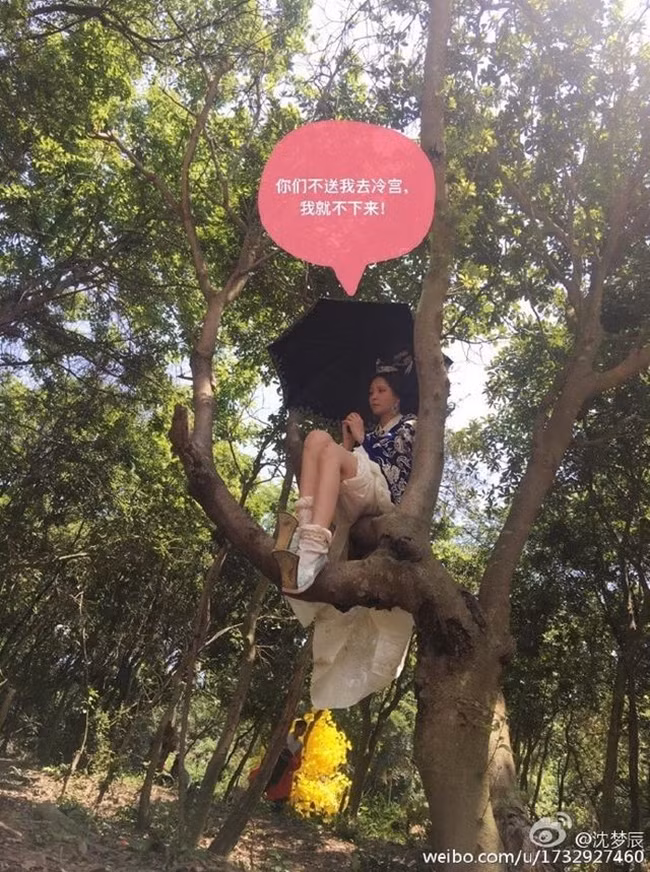 Trèo lên cây là phương pháp tránh nóng được nhiều diễn viên lựa chọn khi quay ngoại cảnh.