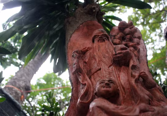 Tùy theo loại cây, kích thước cây và độ tinh xảo của bức tượng mỗi sản phẩm được nghệ nhân hoàn thành trong khoảng 2-3 ngày cho đến cả tuần chế tác.