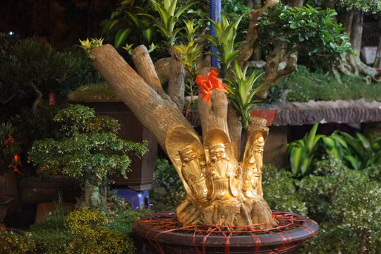 Điểm đặc biệt của loại cây này ở chỗ người nghệ nhân tạc những bức tượng vào thân cây nhưng vẫn giữ cho cây sinh trưởng, đâm mầm phát triển.