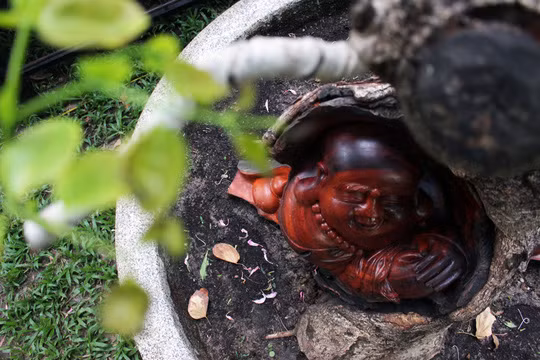 Một chậu cây kiểng lim được chạm khắc tượng tinh xảo, đẹp mắt được chọn trưng bày tại công viên Tao Đàn.