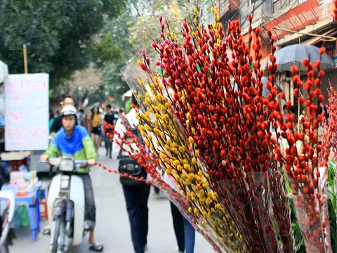 Hoa Tầm Xuân - Hạnh phúc ngập tràn Hoa tầm xuân có hình dạng là những nụ bé nhỏ mọc quanh một thân dài với nhiều màu sắc bắt mắt như xanh, đỏ, hồng, vàng... Hoa tầm xuân mang ý nghĩa sinh sôi nảy lộc, mang đến may mắn, thịnh vượng, niềm tin và nghị lực mạnh mẽ cho gia đình gia chủ vào năm mới. Những nụ hoa tầm xuân mềm mại như tơ, nhỏ xinh mọc dài thân cây nhỏ còn tượng trưng hạnh phúc tràn đầy và niềm vui ngập tràn.