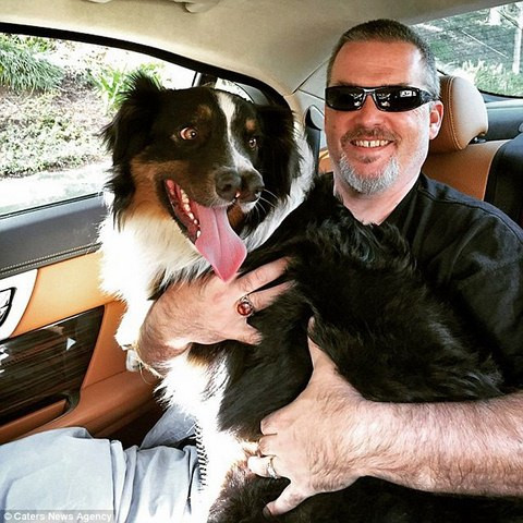 Kể từ khi có được ngôi nhà mới, chú chó chăn cừu Australia đã nhận được rất nhiều sự quan tâm của mọi người. Todd nói: “Ai gặp Toby cũng yêu quý nó. Đây là chú chó ngọt ngào nhất thế giới”. Todd hiện nay giữ kỉ lục thế giới với bộ sưu tập nhiều nhất thế giới những động vật 2 đầu nên việc anh sở hữu thêm một chú chó có đặc điểm kì thú này cũng không có gì là lạ. Toby được phát hiện trên đường phố Fresno và suýt chút nữa bị nhóm cứu hộ chó bắt về trại.