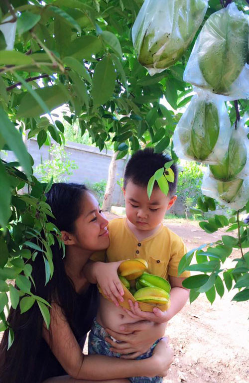 Trong vườn nhà còn có nhiều loại cây ăn quả. Ba mẹ Lê Phương trồng cây nào cây nấy đều lên xanh tốt và trĩu quả.
