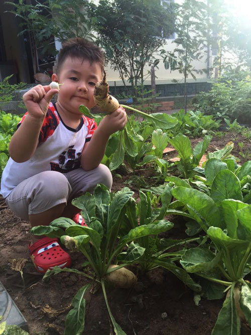 Bé Cà Pháo rất thích được ra vườn giúp ông bà thu hoạch rau củ.