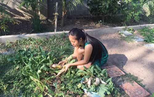 Trong vườn tuy trồng nhiều hoa nhưng chỉ là điểm xuyết cho không gian thêm đẹp. Chủ yếu đất trong vườn nhà dùng để trồng rau, củ, quả.