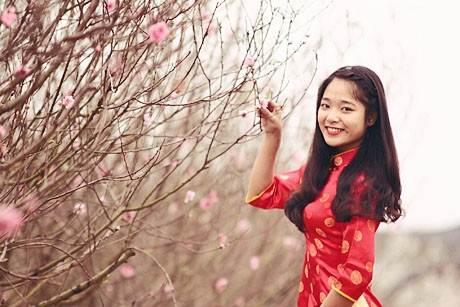 Vườn đào Nhật Tân là địa điểm bạn trẻ nên lui tới dịp cận Tết.