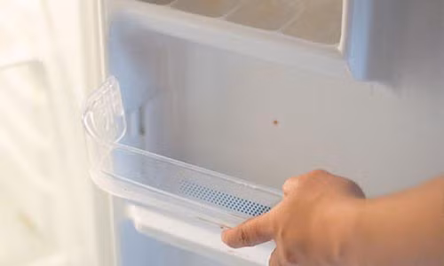 Ve sinh tu lanh kieu nay coi chung ruoc hoa vao than