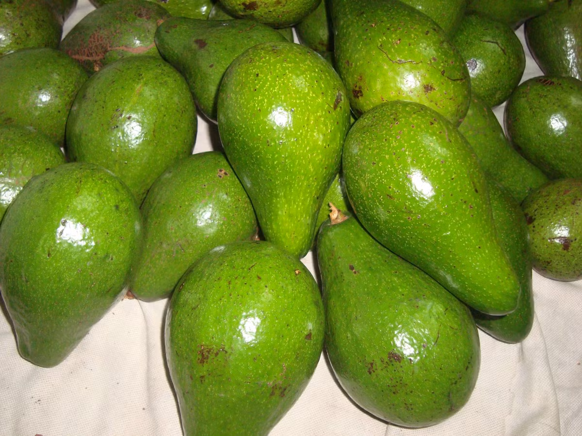 Bơ. Không chỉ nổi tiếng là thành phần chính trong món sốt guacamole giàu dinh dưỡng, quả bơ còn là nguồn tuyệt vời chất béo bão hòa đơn, giảm lượng cholesterol xấu, hạn chế nguy cơ đau tim và đột quỵ. 