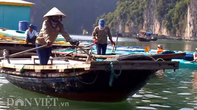 Để có những trải nghiệm tuyệt vời tại làng chài cổ này, du khách có thể chọn một trong hai cách đi chơi khá thú vị: Một là du khách thuê thuyền kayak rồi tự mình chèo để khám phá làng chài cổ; Hoặc du khách có thể ngồi thưởng lãm trên con đò do người dân địa phương chèo lái. Dù chọn phương tiện gì thì việc khám phá làng chài cổ cũng mang lại rất nhiều điều mới lạ. Du khách sẽ không thể nào quên khi được lênh đênh trên biển nước màu xanh lục, hai bên là núi non nhấp nhô, hùng vĩ như trong bức tranh thủy mặc tuyệt đẹp.