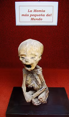 Tuy nhiên, do địa thế nên đất ở đây rất lạnh và khô, vì thế những xác chết khi đào lên đều trở thành những xác ướp được bảo quản vô cùng tốt.