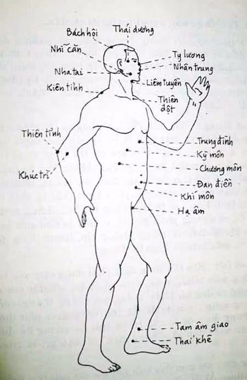 Huyet dao bi truyen danh thuc khi luc cua co the