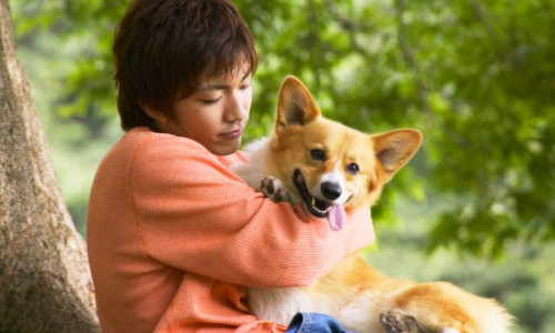 Phat hon vi chong dua ca cun cung len ngu cung