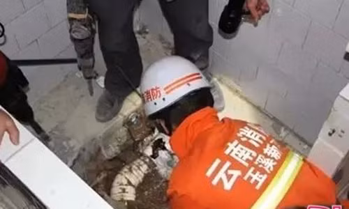 Dung tim giai cuu be so sinh bi vut trong bon cau