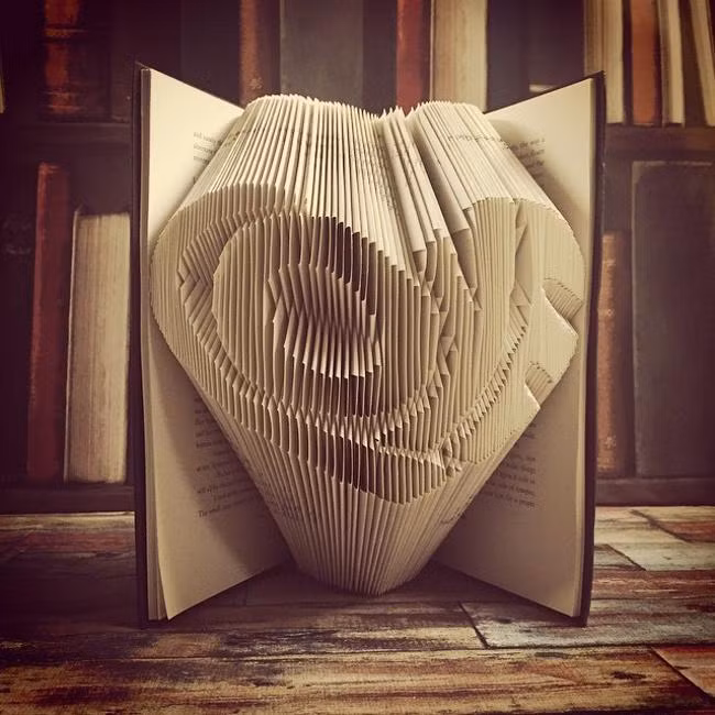Từ những quyển sách cũ hàng trăm trang, Nobo đã thổi hồn và biến chúng thành những tác phẩm nghệ thuật tuyệt đẹp bằng nghệ thuật xếp giấy Origami 3D. Nobo khéo léo tạo ra những hình trái tim, hình ảnh nhân vật trong các bộ phim nổi tiếng, con vật hay đồ vật hàng ngày với nếp gấp mềm mại và nhìn rất sống động.