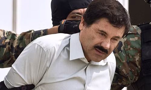 Trum ma tuy Mexico to bi giam giu qua khung khiep?