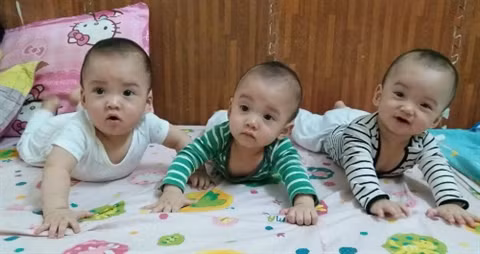 Kỳ diệu ca sinh 3 cùng trứng tại Hà Nội Ky dieu ca sinh 3 cung trung tai Ha Noi