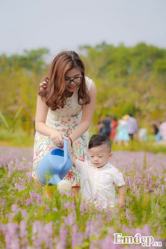 Cánh đồng hoa ngọc hân ở Thảo nguyên hoa Long Biên những ngày này thu hút vô số người tới tham quan, chụp ảnh .