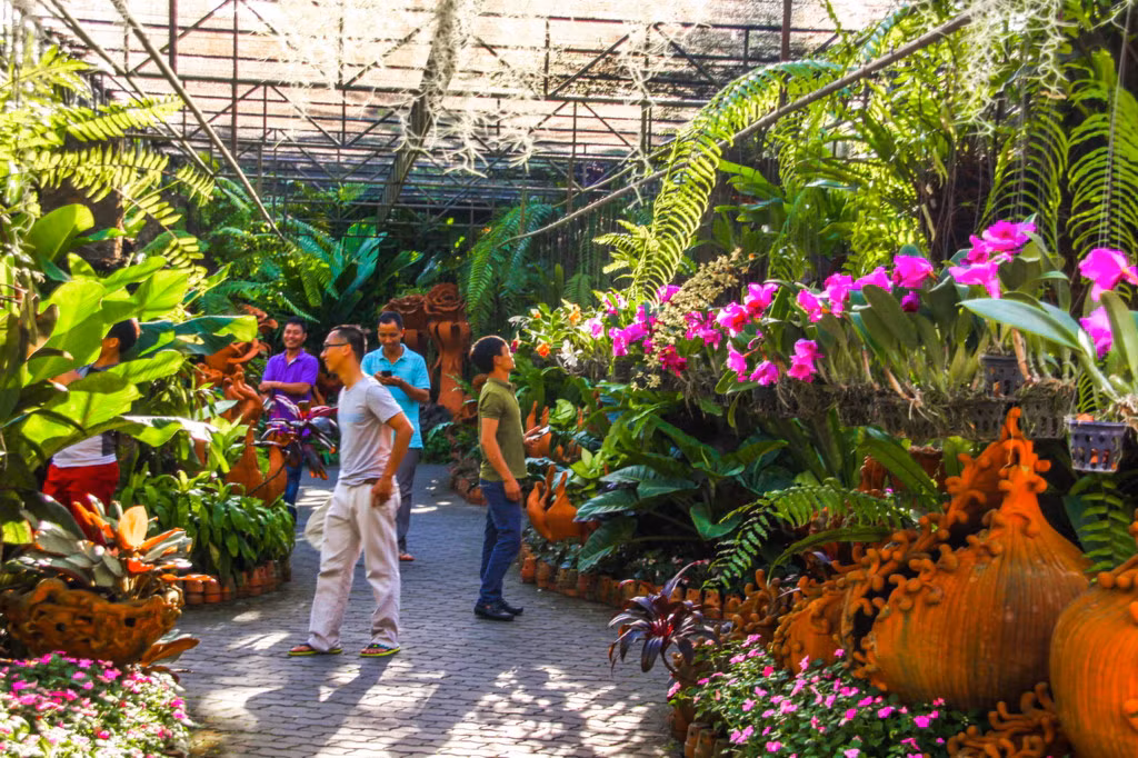 Đặc biệt, Nong Nooch cũng được coi như thiên đường dành cho những người yêu lan, bởi nơi đây tập trung hàng trăm giống hoa lan. Ảnh: Nongnoochtropicalgarden.