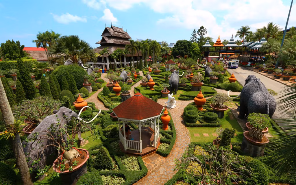 Khu vườn được đặt theo tên của người chủ sở hữu đầu tiên, Nongnooch Tansacha. Năm 1954, ông Pisit và bà Nongnooch Tansacha đã mua quả đồi rộng 2,4 km2 với mục đích trồng các loại cây ăn quả như xoài, cam dừa và nhiều loại trái cây địa phương khác. Ảnh: Nongnoochtropicalgarden.