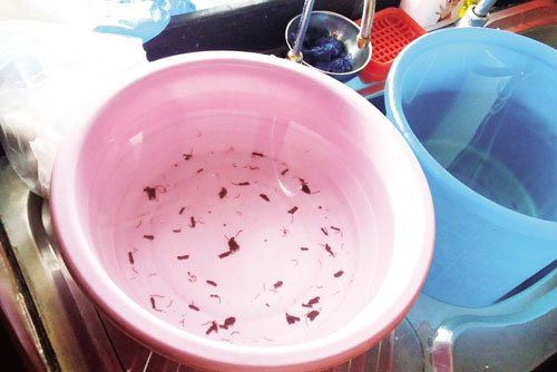  Nước sạch chung cư có… giun: Không chỉ đối mặt với tình trạng mất nước, thiếu nước sinh hoạt, mà chất lượng nước sinh hoạt ở chung cư cũng là mối bận tâm của nhiều người. Qua kiểm tra đã phát hiện hàng loạt chung cư trên địa bàn Hà Nội nước sinh hoạt không đảm bảo chất lượng khiến người dân vô cùng lo lắng. Vào mỗi buổi sáng, nhiều cư dân tòa nhà CT9 Định Công hoảng hốt với giun sán màu đỏ nâu “tung tăng” tuôn ra theo vòi nước. (Ảnh: Gia đình &amp; Xã hội)