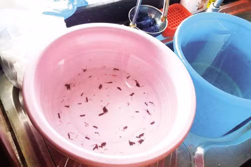  Nước sạch chung cư có… giun: Không chỉ đối mặt với tình trạng mất nước, thiếu nước sinh hoạt, mà chất lượng nước sinh hoạt ở chung cư cũng là mối bận tâm của nhiều người. Qua kiểm tra đã phát hiện hàng loạt chung cư trên địa bàn Hà Nội nước sinh hoạt không đảm bảo chất lượng khiến người dân vô cùng lo lắng. Vào mỗi buổi sáng, nhiều cư dân tòa nhà CT9 Định Công hoảng hốt với giun sán màu đỏ nâu “tung tăng” tuôn ra theo vòi nước. (Ảnh: Gia đình &amp; Xã hội)