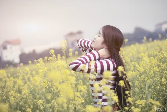 Nằm ở thị trấn Trâu Quỳ, ngay ngã ba gần cổng trường Đại học Nông nghiệp, rẽ phải vào khoảng 2 km có một cánh đồng cải rất lớn mà các bạn có thể chụp ảnh một cách thoải mái.