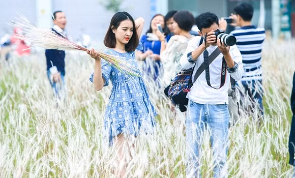 Bãi hoa cỏ lau ở Khu đô thị Linh Đàm Giữa khu đô thị Linh Đàm sầm uất, xuất hiện một bãi đất mọc rất nhiều cỏ lau.