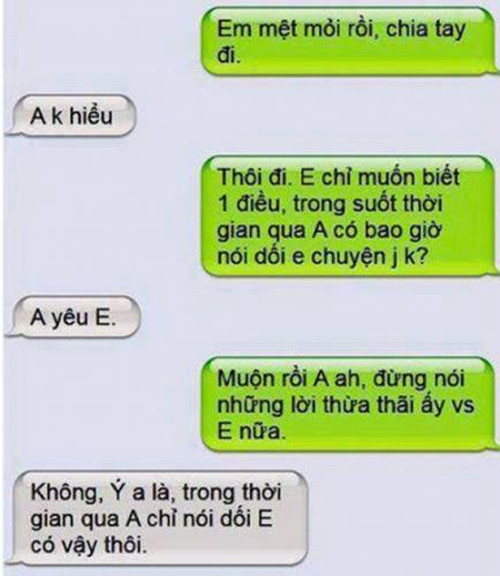 Anh chẳng nói dối em điều gì ngoại trừ câu: Anh yêu em!.