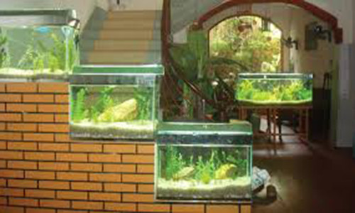 Nam vat trang tri nha giup gia chu hot bac moi tay