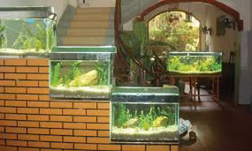 Nam vat trang tri nha giup gia chu hot bac moi tay